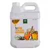 /product-detail/fresh-honey-drink-juice-concentrated-pulp-3kg-concentrated-beverage-special-concentrated-honey-flavor-for-baking-milk-tea-62423878231.html