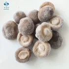 2019 New Crop IQF 2 - 4 cm / 5 - 7 cm Frozen Shiitake mushroom whole with Competitive Price