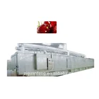 Wholesale fish meat and many other food products iqf tunnel freezer machine
