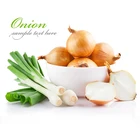 fresh china yellow onion little onions