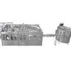 Bottle Beverage Filling Machine for Juice/Energy Drink/Tea/Alcoholic/Soft Drink/Wine