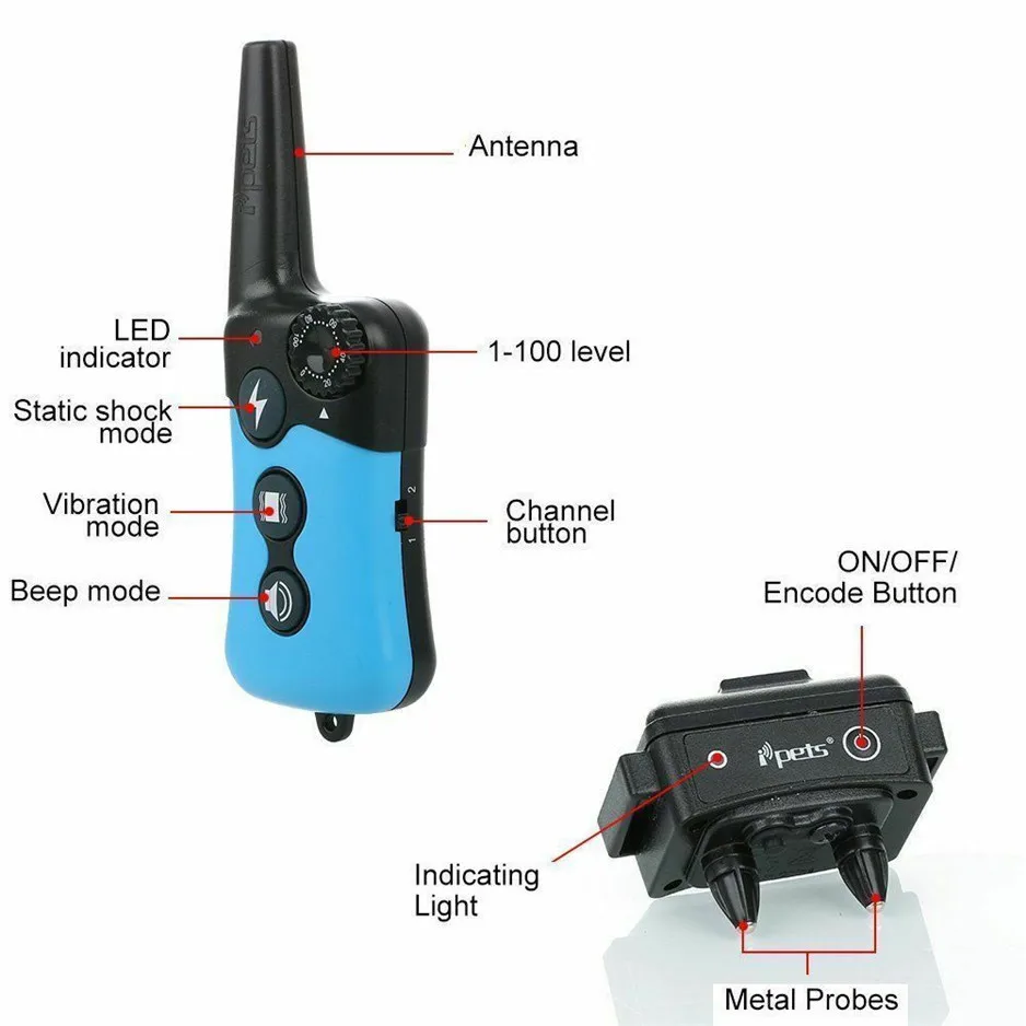 PET619---12.jpg