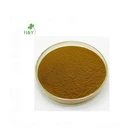 Drum Moringa Leaf Free Shipping High Quality Moringa Leaf Extract Moringa Leaf Powder 20:1 In Bulk