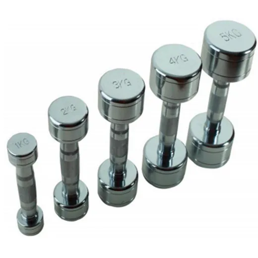 2022 New arrival Commercial Fitness Accessories/Gym accessories ASJ-P012 Dumbbell