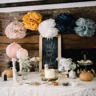 10 Inches Tissue Paper Flower Pom Poms Wall And Ceiling Decoration For Wedding Birthday Party