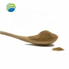 100% Natural Organic Plant Powder Olive Leaf Extract