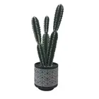 User-friendly design wholesale indoor artificial plants