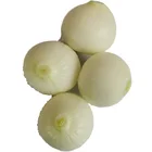 2020 fresh new crop Chinese white onion factory direct sale price