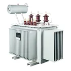 Electric 2020China Electric Supply JSM S9-800KVA/11kv Oil Immersed Power Transformer