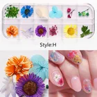 Misscheering Mix Dried Flowers Nail Decorations Jewelry Natural Floral Leaf Stickers 3D Nail Art Designs Polish Manicure