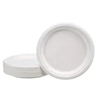 Wholesale biodegradable dinner plates containers disposable plate for lunch