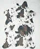 /product-detail/factory-direct-wholesale-best-quality-faux-cowhide-fur-cowhide-rug-for-sitting-room-62329152386.html