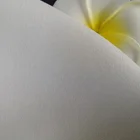 Eco-Friendly White 100% Polyester Imitation Silk Satin like Chiffon 50D*75D Bright Satin Weave Crepe Faille Fabric