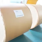 Chemical-Mechanical Pulp FBB Board/Ningbo Paper/C1S Ivory Board
