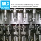 Juice Filling Machine Automatic Hot Mango Juice Filling And Packing Machine Production Line