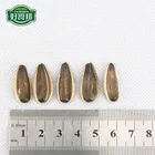 Seed Superior Grade Varied Original Sunflower Seed Kernels For Sale