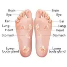 Massage Machine Air Pression Automatic Kneading 3D Shiatsu Best Factory Directly Advance Foot Massager