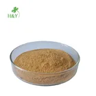 Top Grade Fresh Moringa Leaf Extract Powder 10:1