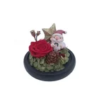 Home Decoration & Christmas Gift Preserved Rose In Glass Dome