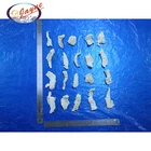 2020 Fresh frozen seafood products wholesale price sale salted dried fish