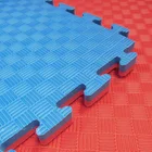 Martial Arts Gym Eva Foam Tatami Puzzle Taekwondo Mats Tatami
