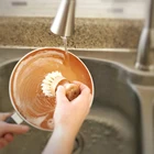Zero Waste Fiber Kitchen Cleaning Brush Wood Dish Brush