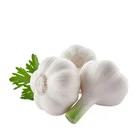 New season fresh pure white garlic bulbs for Europe market