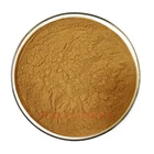Amla Wellgreen Phyllanthus Emblica Amla Extract Powder