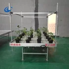 Hydroponic grow trays greenhouse rolling benches flood table