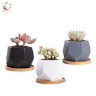 Indoor desktop decoration hexagon white ceramic plant flower succulent pot