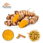 health food organic curcumin tumeric with black pepper solaray turmeric root extract 300 mg
