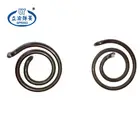 OEM/ODM Clock Volute Spring Coil Spiral Spring Reel Flat Strip Constant Force Springs Manufacturer