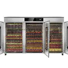 Melon Apple 60 Racks Household Food Dehydrator Machine Melon Drying Apple Dryer Oven For Sale