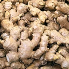 New crops organic fresh ginger market prices