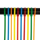 Self Locking Nylon Cable Ties Plastic in Black White Color
