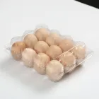 Egg Blister For Eggeggblister Plastic Blister Clear Plastic Egg Tray Blister For Packaging For Sale