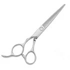 Edward Left-Handed Scissors genuine hair stylist thinning shears bangs cut hairdressing scissors set