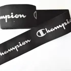 Customized Woven Polyester Nylon Jacquard Webbing Strap For Garment