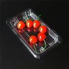 Plate Dish Dishes Plates Good Quality Disposable Plate PET Plastic Manufacturer Tray Dishes with Competitive Price