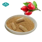 Sustained Release Rose Hips Vitamin C 500mg Capsule Acerola and Bioflavonoids Capsule Vegan