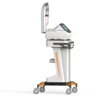 Beauty Medical Beauty Equipment Fractional Rf Vaginal Tightening Machine