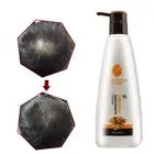 Shampoo Hair Shampoo Private Label Ginger Refreshing Shampoo Hair Loss For Anti-Dandruff And Hair Fall Prevention