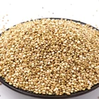 China high Quality White Quinoa Seeds