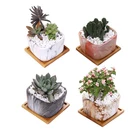 small marble grain square ceramic succulent planter pots