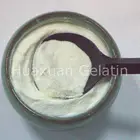 Food nutritional animal protein collagen powder for beauty products
