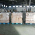 Car High Performance Modified Silane Sealant Auto Glass Sealant Car