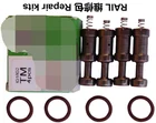 Lpg Rail Injector Lpg Lpg Rail Injector Repair Kit For Autogas