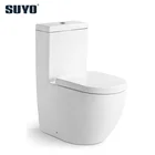 Chaozhou Manufacture Bathroom 1 Piece Washdown S Trap 250mm Toilet Bowl Chinese Wc