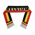 OEM Hot Selling Customized Logo All Country football fans scarf