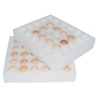 Egg High Quality Packing Egg Well Made Egg Tray Foam Protection Box